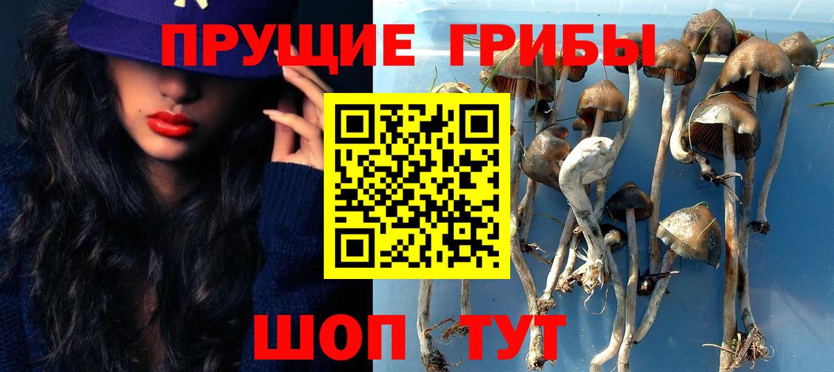 Галлюциногенные грибы мицелий  Вход с VPN  Сыктывкар 